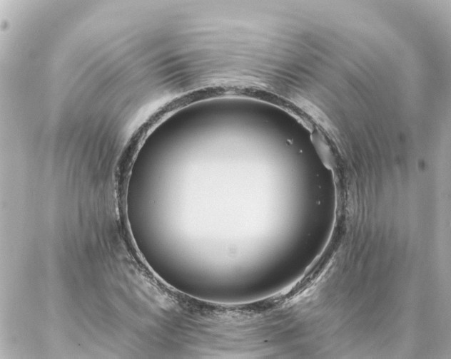 X0000086991022200704231839