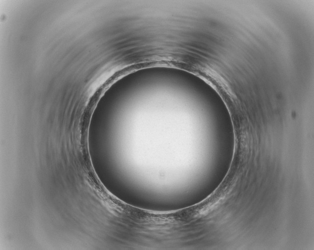 X0000086991023200704231839