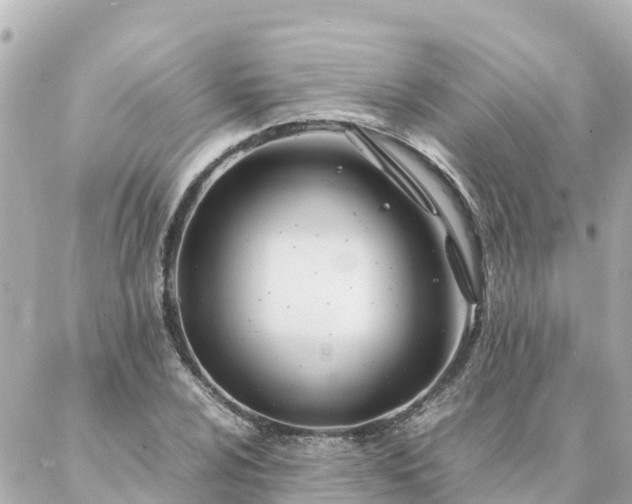 X0000086991024200704231839