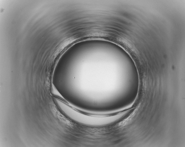 X0000086991025200704231839