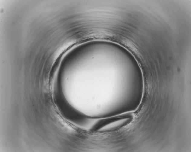 X0000086991026200704231840