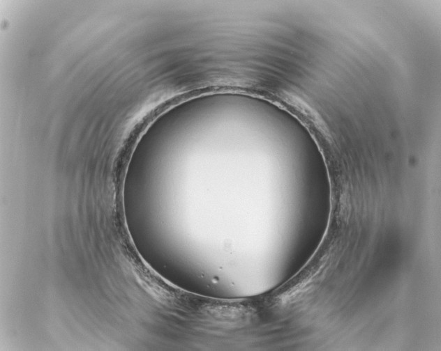 X0000086991027200704231840