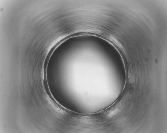 X0000086991028200704231840