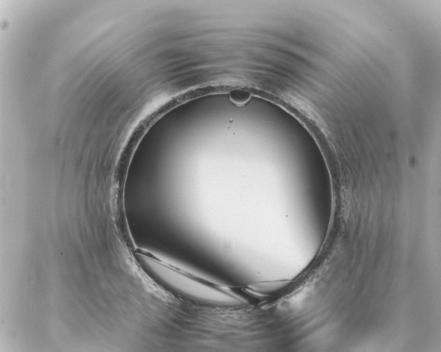 X0000086991029200704231840