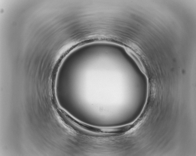 X0000086991030200704231840