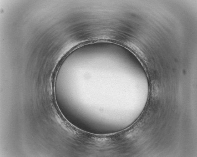 X0000086991031200704231840