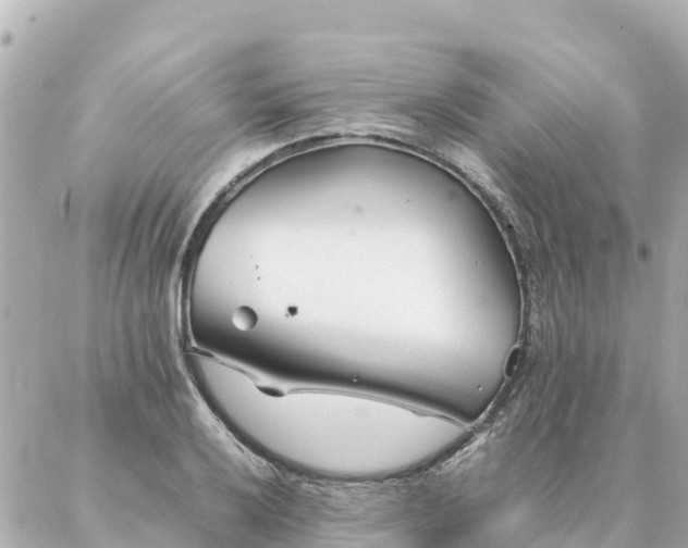 X0000086991032200704231840