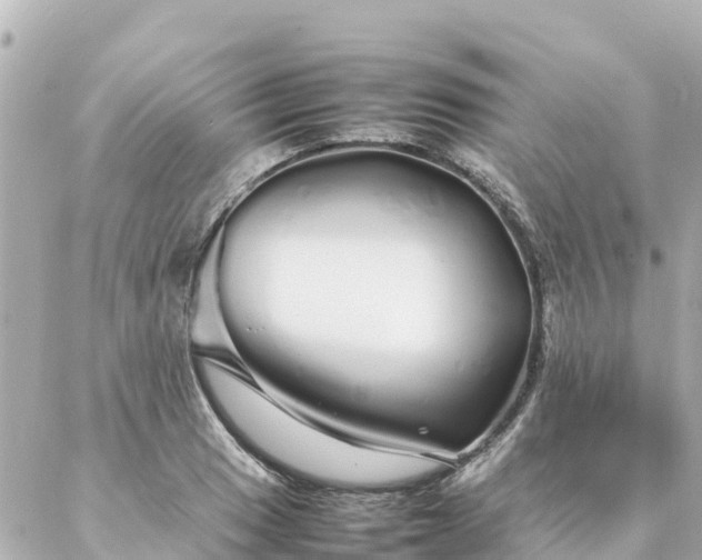 X0000086991033200704231840