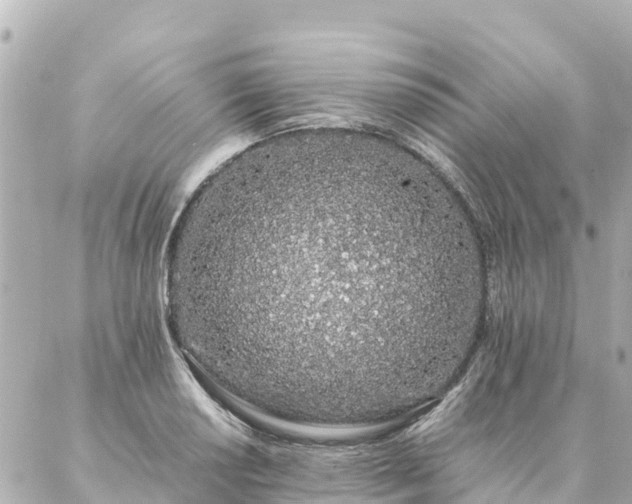 X0000086991034200704231840