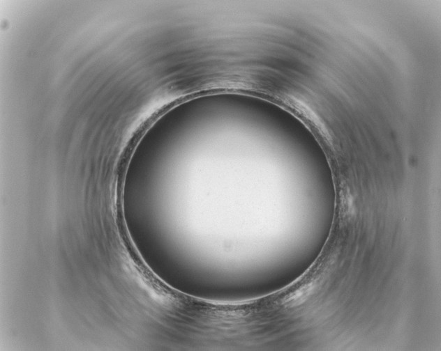 X0000086991035200704231840