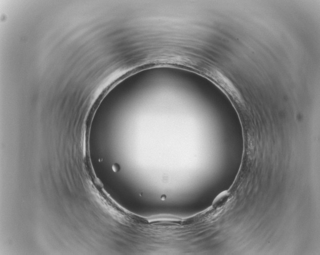 X0000086991036200704231840