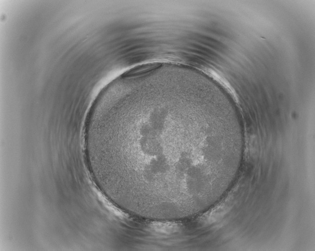 X0000086991037200704231840