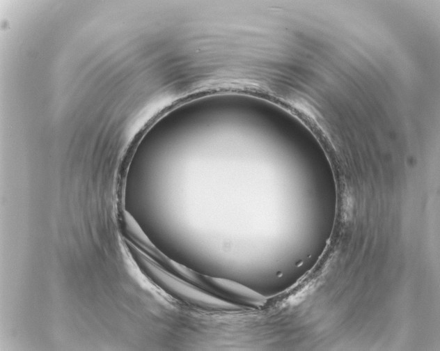 X0000086991038200704231840