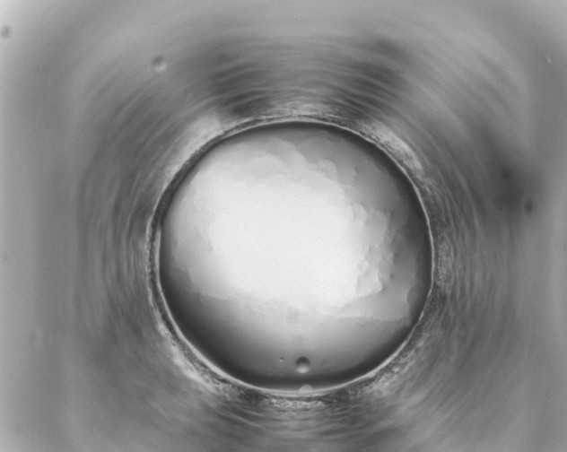 X0000086991039200704231840