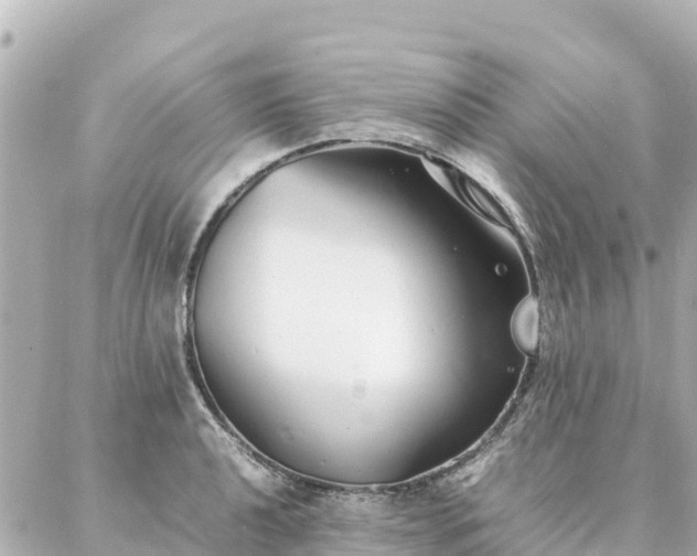 X0000086991040200704231840