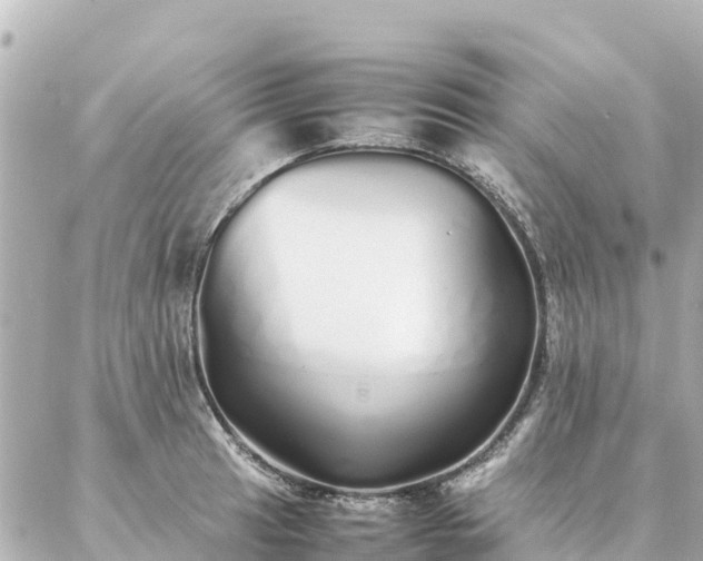 X0000086991041200704231840