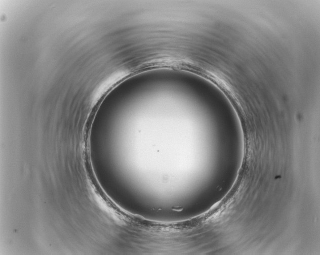 X0000086991042200704231840