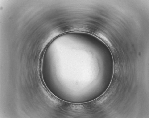 X0000086991043200704231840