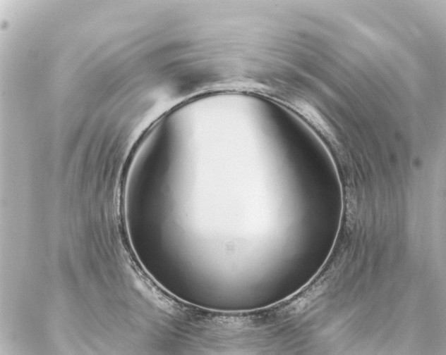 X0000086991044200704231840