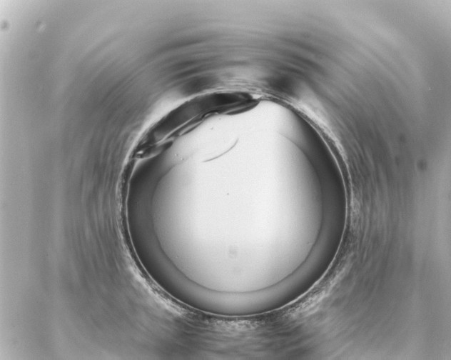 X0000086991045200704231840