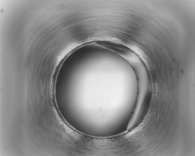 X0000086991046200704231840