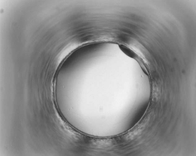 X0000086991047200704231840