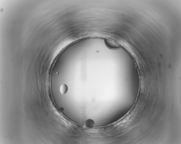 X0000086991048200704231840