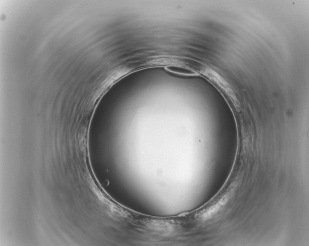 X0000086991049200704231840