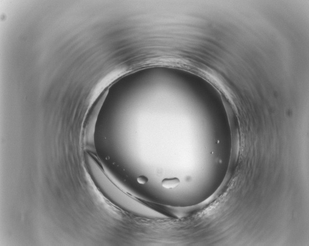 X0000086991050200704231840