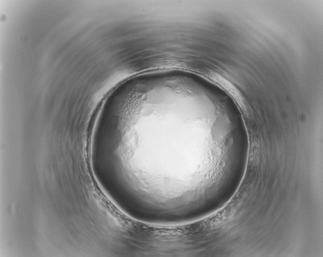 X0000086991051200704231840