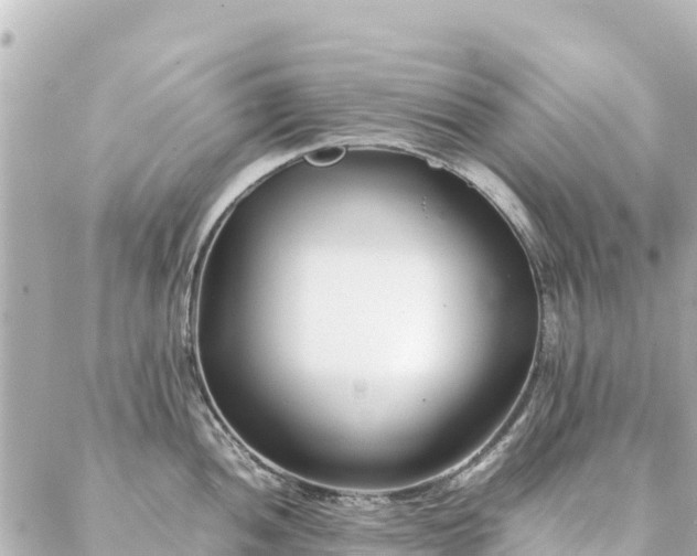 X0000086991052200704231840