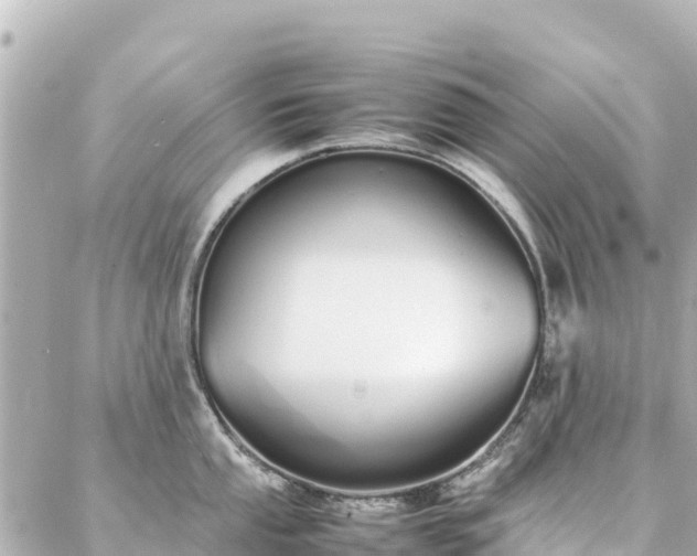 X0000086991053200704231840