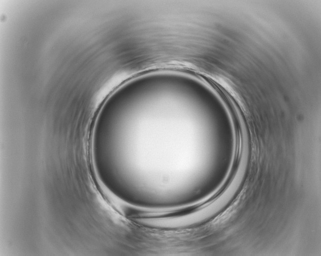 X0000086991054200704231840