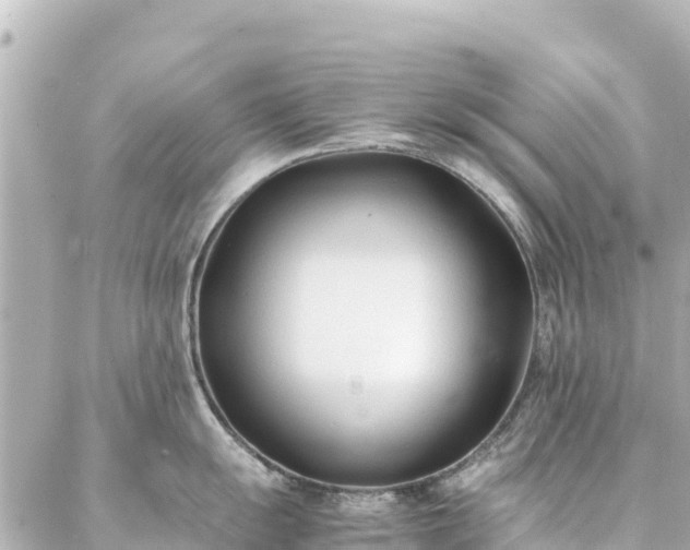 X0000086991055200704231840