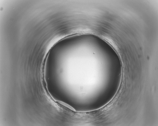 X0000086991056200704231840