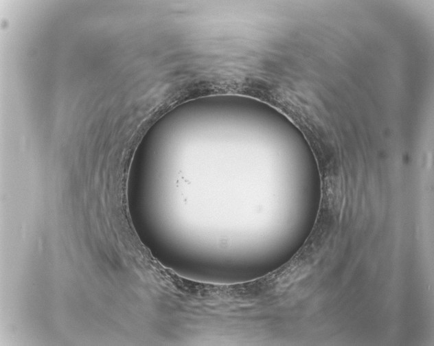 X0000086991057200704231839