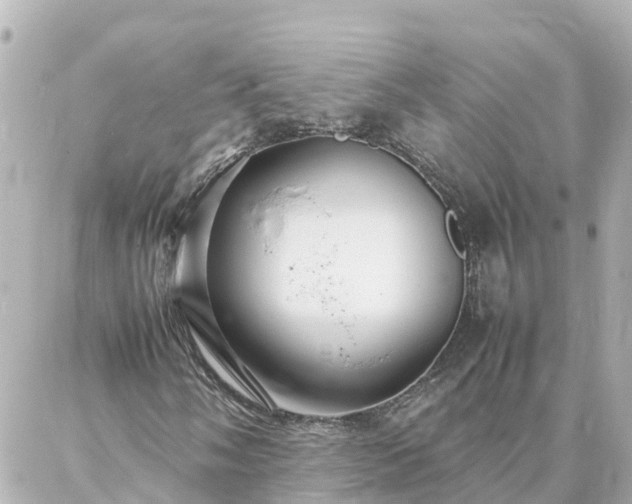 X0000086991058200704231839