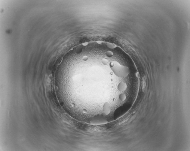 X0000086991059200704231839