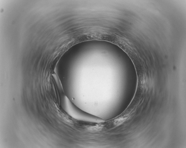 X0000086991060200704231839