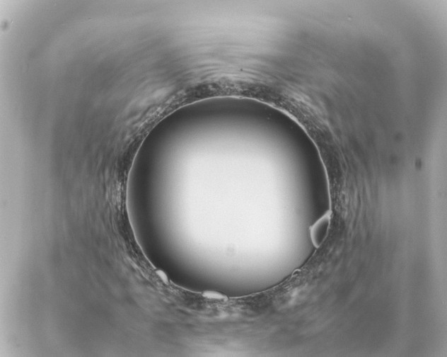 X0000086991061200704231839