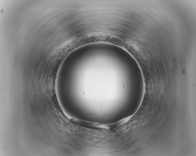 X0000086991062200704231839