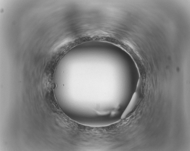 X0000086991063200704231839