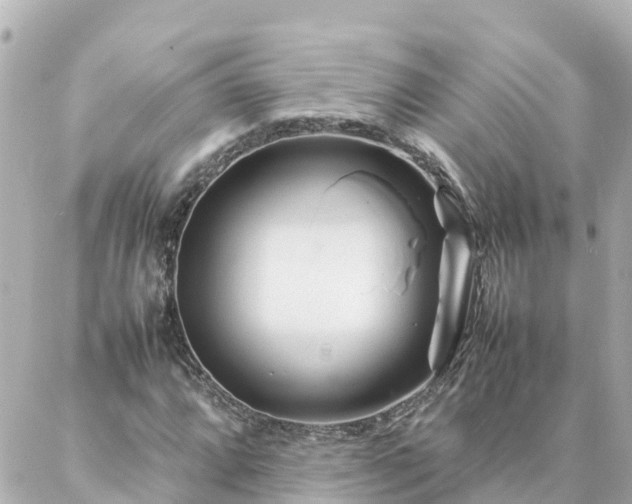 X0000086991064200704231839