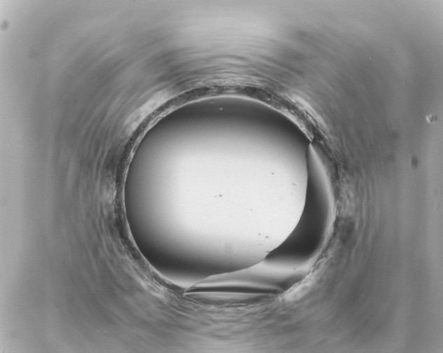 X0000086991065200704231839