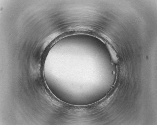 X0000086991066200704231839