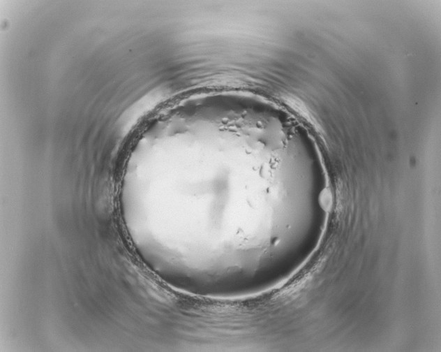 X0000086991067200704231839