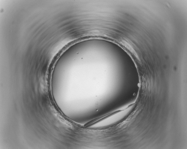 X0000086991068200704231839