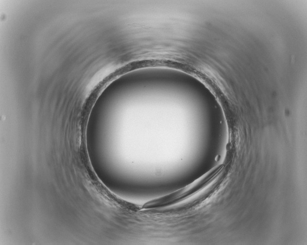 X0000086991069200704231839