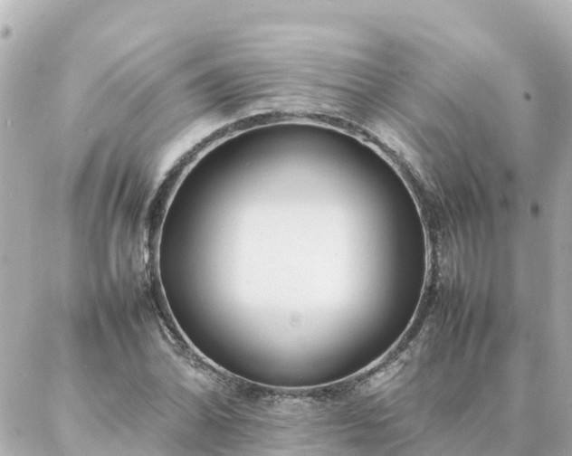 X0000086991070200704231839