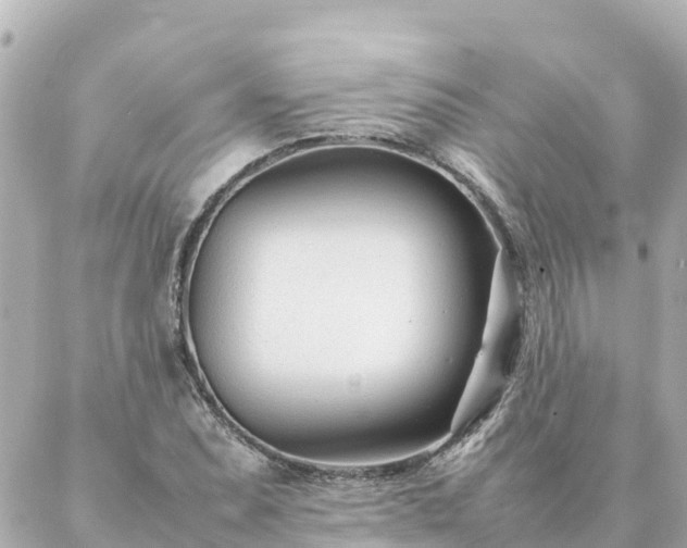 X0000086991071200704231839